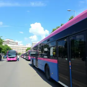 Sorocaba: ônibus Azul e Rosa atendem moradores do Parque das Paineiras